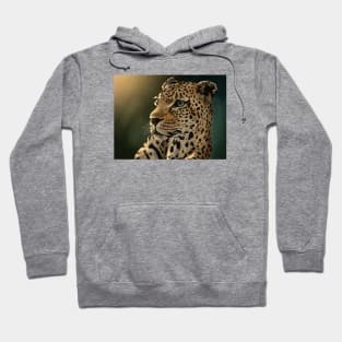 Leopard Hoodie